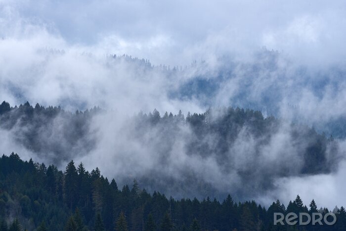 Papier peint  Paysage avec forêt derrière les nuages