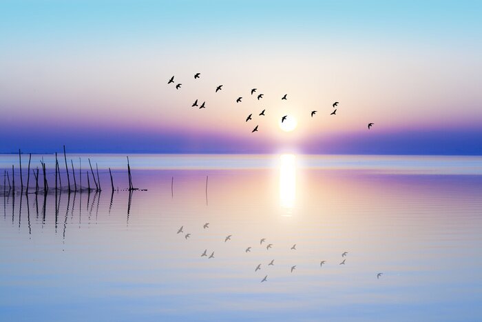 Papier peint  Paysage avec oiseaux volants