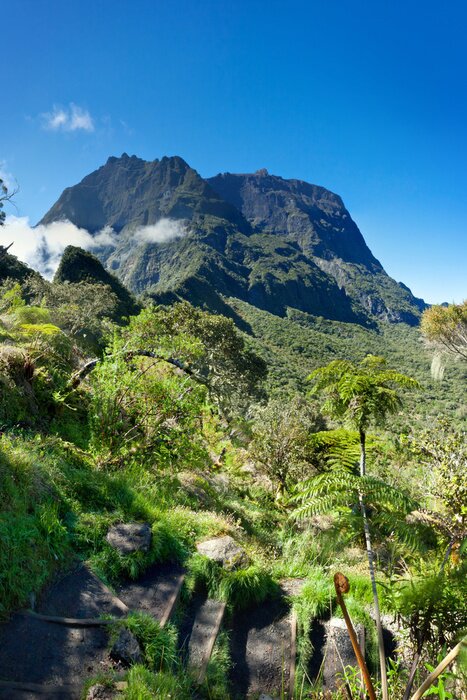 Papier peint  Paysage avec une montagne tropicale