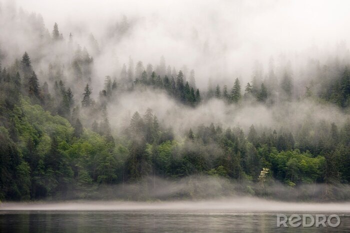 Papier peint  Paysage brumeux d’un lac entouré de forêt