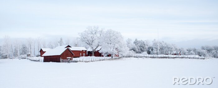 Papier peint  Paysage d'hiver avec une ferme