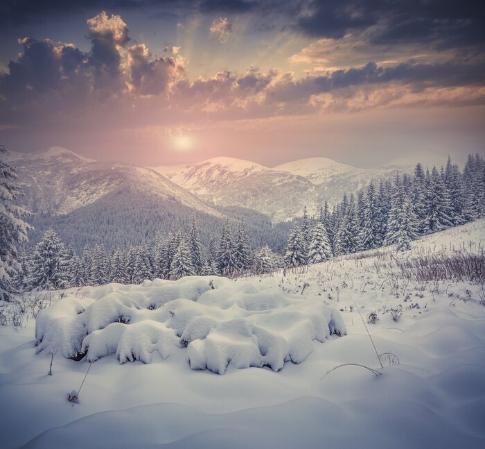 Papier peint  Paysage d'hiver des montagnes