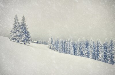 Papier peint  Paysage d'hiver minimaliste