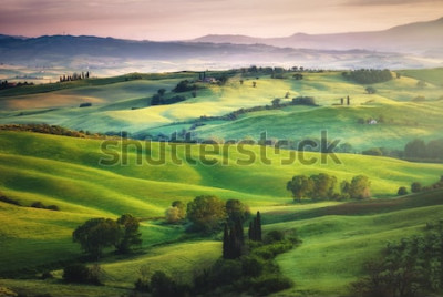 Papier peint  Paysage de champs verts