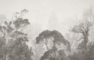 Papier peint  Paysage de forêt sauvage en gris