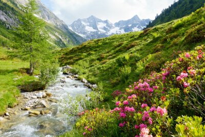 Papier peint  Paysage de montagne avec un ruisseau et des fleurs roses