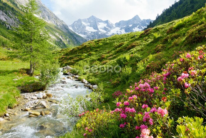 Papier peint  Paysage de montagne avec un ruisseau et des fleurs roses