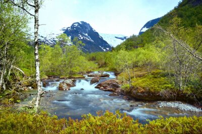 Paysage de montagne avec une rivière pittoresque