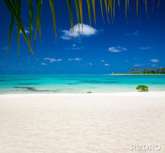 Papier peint  Paysage de plage tropicale aux Maldives