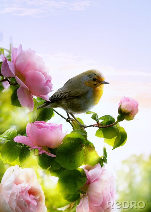 Papier peint  Paysage de printemps avec des roses et un oiseau