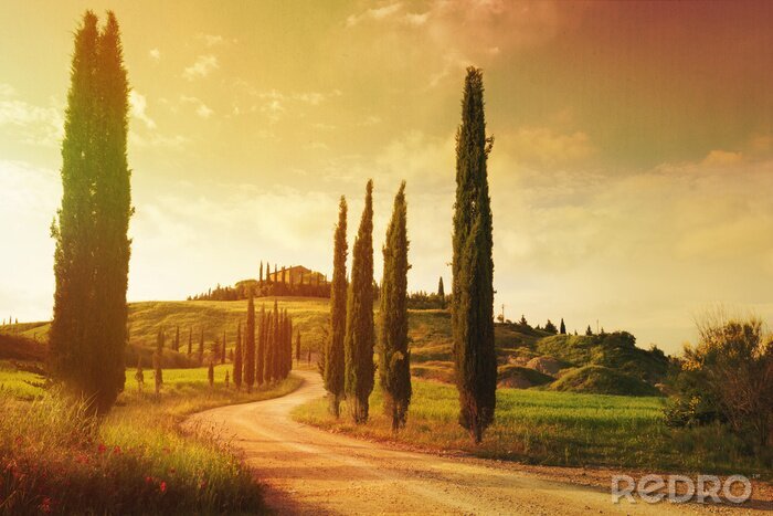 Papier peint  Paysage de Toscane dans une photographie artistique