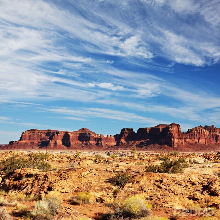 Papier peint  Paysage des prairies