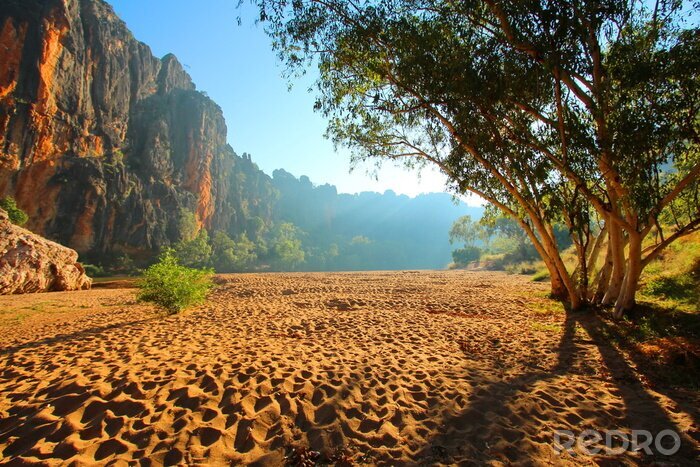 Papier peint  Paysage désertique