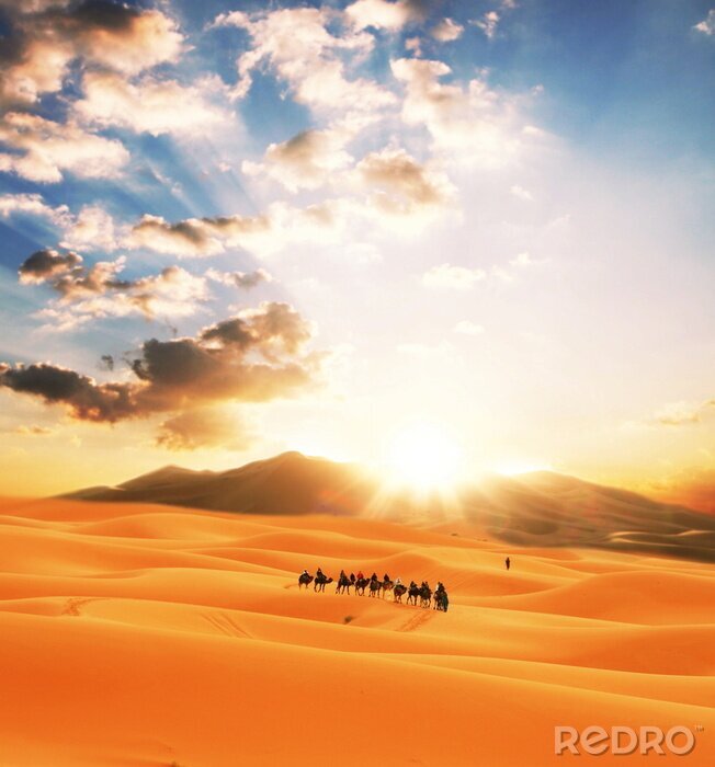 Papier peint  Paysage désertique avec des animaux