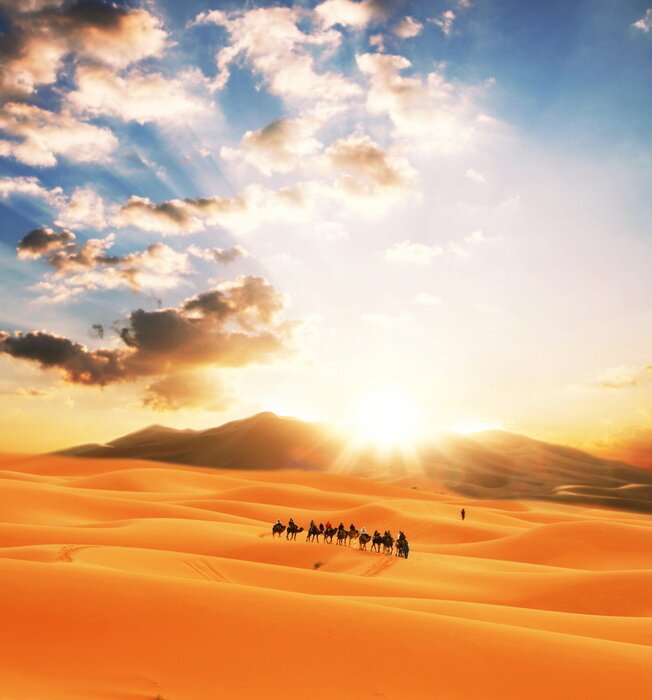 Papier peint  Paysage désertique avec des animaux