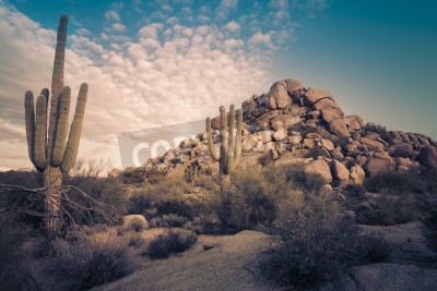 Papier peint  Paysage désertique de l'Arizona