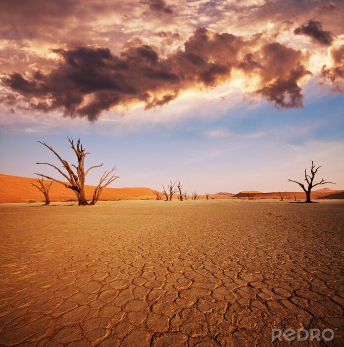 Papier peint  Paysage du désert du Namib