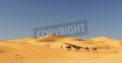 Papier peint  Paysage du Sahara