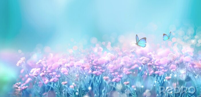 Papier peint  Paysage naturel de printemps fleuri avec des fleurs lilas roses sauvages sur Prairie et papillons flottant sur fond de ciel bleu. Image artistique aérienne douce et rêveuse. Flou artistique, traitemen