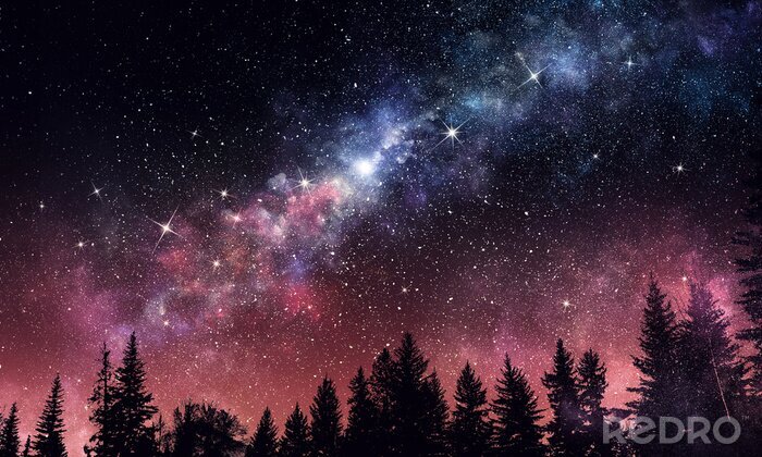 Papier peint  Paysage nocturne avec forêt et étoiles