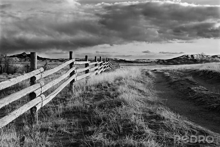 Papier peint  Paysage noir et blanc avec la nature