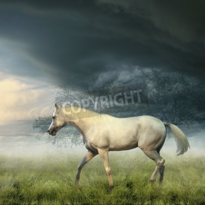 Papier peint  Paysage orageux avec un cheval