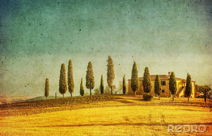 Papier peint  paysage toscan cru