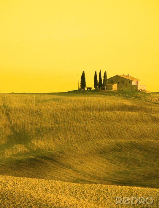 Papier peint  Paysage toscan jaune