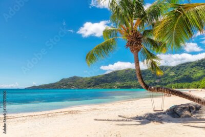 Paysage tropical palmiers sur la plage aux Seychelles