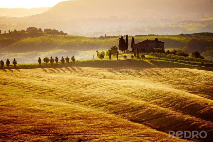 Papier peint  paysage typique de la Toscane, en Italie