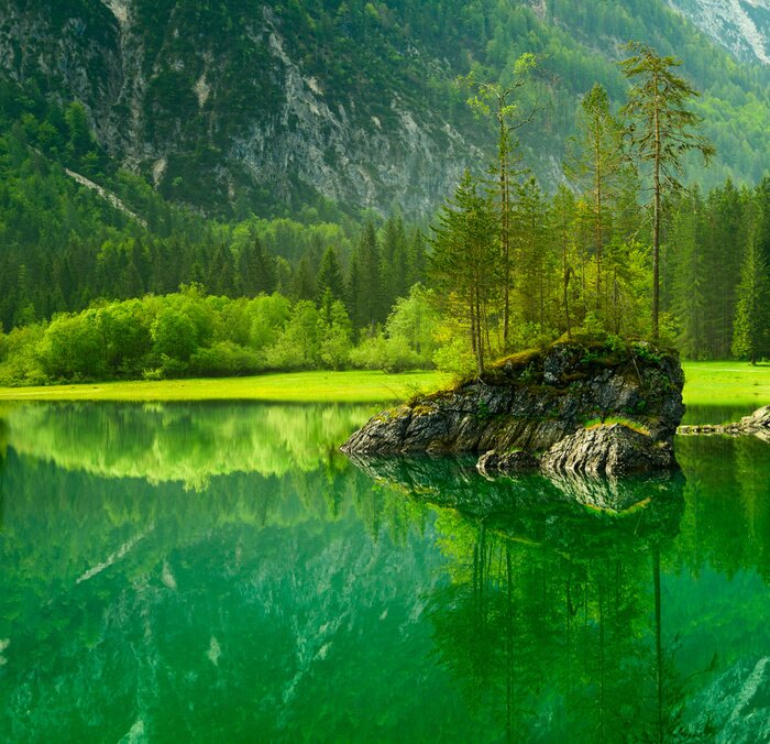 Papier peint  Paysage vert de montagnes et de plantes