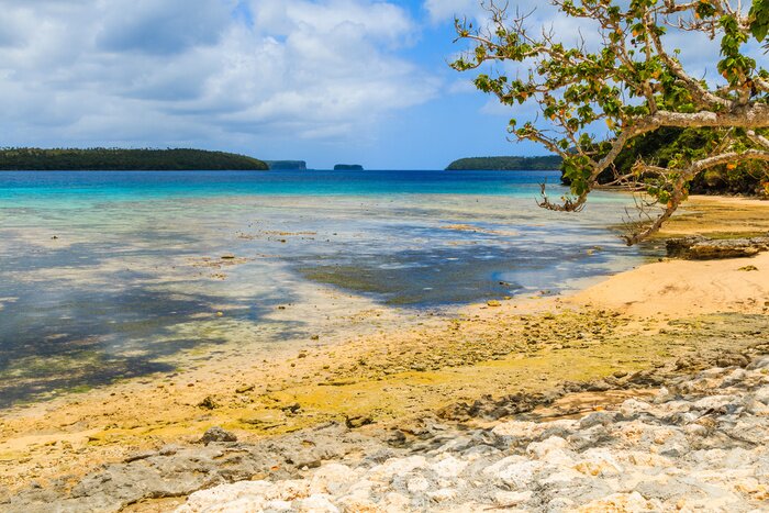 Papier peint  Paysages tropicaux