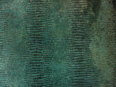 Papier peint  Peau de serpent