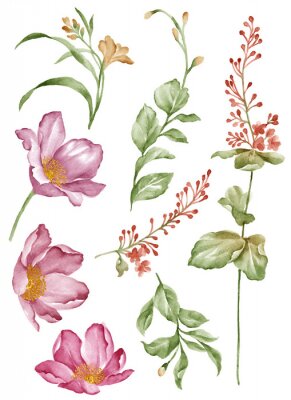 Peinture à l'aquarelle d'une plante aux couleurs pastel