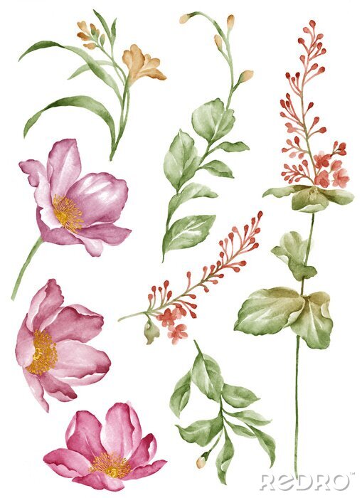 Papier peint  Peinture à l'aquarelle d'une plante aux couleurs pastel