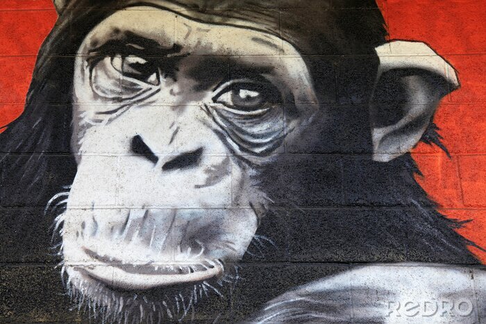 Papier peint  Peinture murale avec un singe ravissant