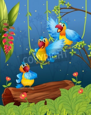 Papier peint  Perroquets sur des lianes