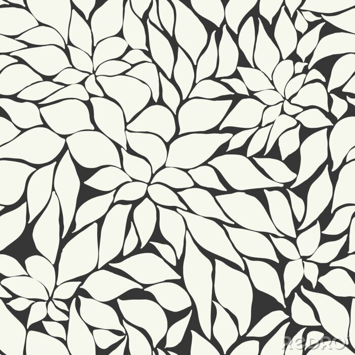 Papier peint  Pétales de plantes blancs