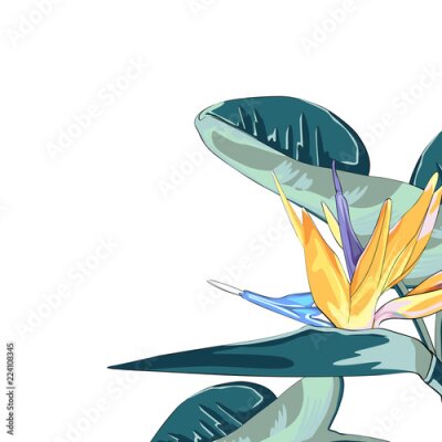 Papier peint  Petite guirlande florale. Illustration vectorielle