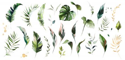 Papier peint  Petites plantes et feuilles tropicales
