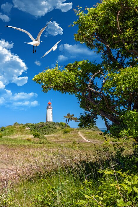 Papier peint  Phare côtier et mouettes