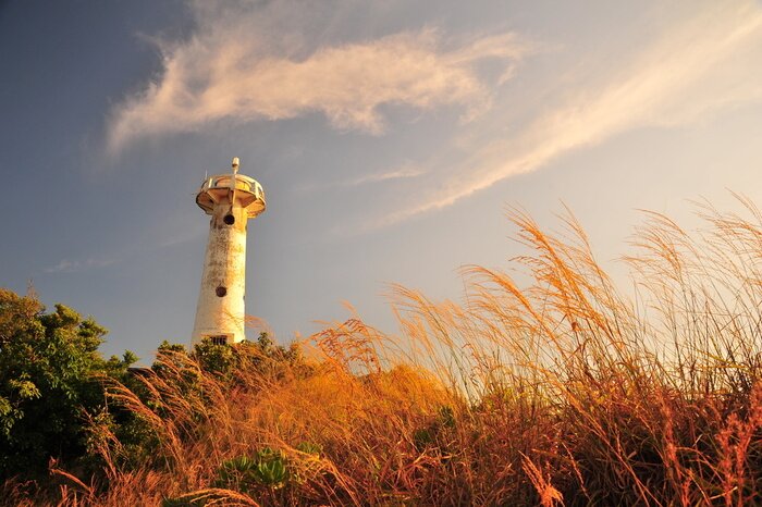 Papier peint  Phare et prairie