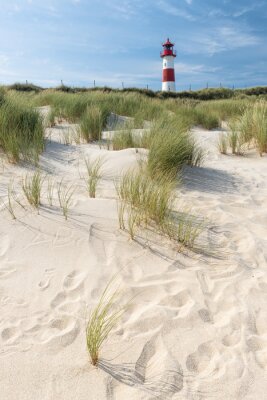 Papier peint  Phare maritime au milieu des dunes