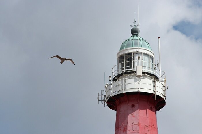 Papier peint  Phare maritime et mouette au vol
