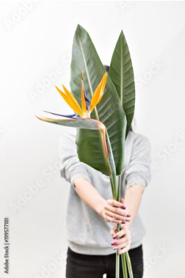 Papier peint  Photo horizontale