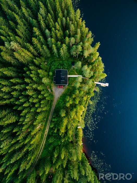 Papier peint  Photographie d'une maison dans une forêt