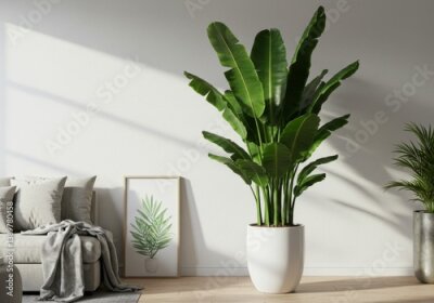 Papier peint  Photorealistic Strelitzia nicolai with large glossy banana leaves in white ceramic pot and minimalist interior
