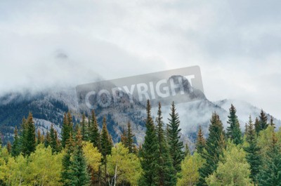 Papier peint  Pic enneigé dans la verdure