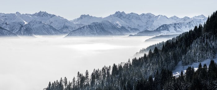 Papier peint  Pics montagneux et forêts majestueuses