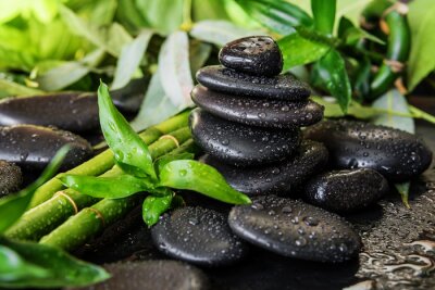 Papier peint  Pierres noires et bambou